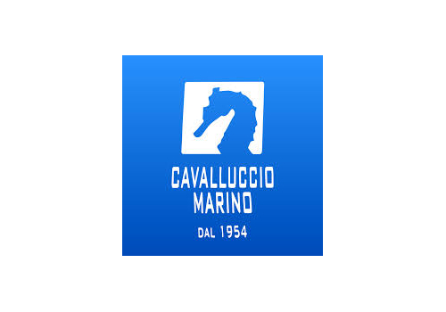 Cavalluccio marino